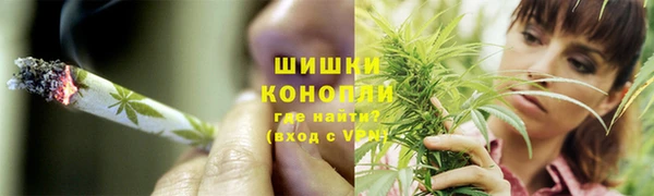 ешки Алзамай