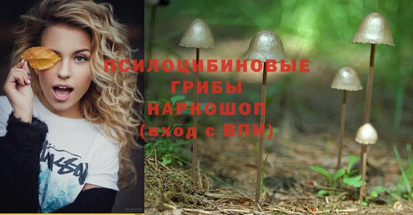 MDMA Алексеевка