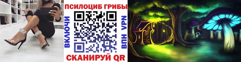 Псилоцибиновые грибы Psilocybe  хочу наркоту  MEGA маркетплейс  Каргат 
